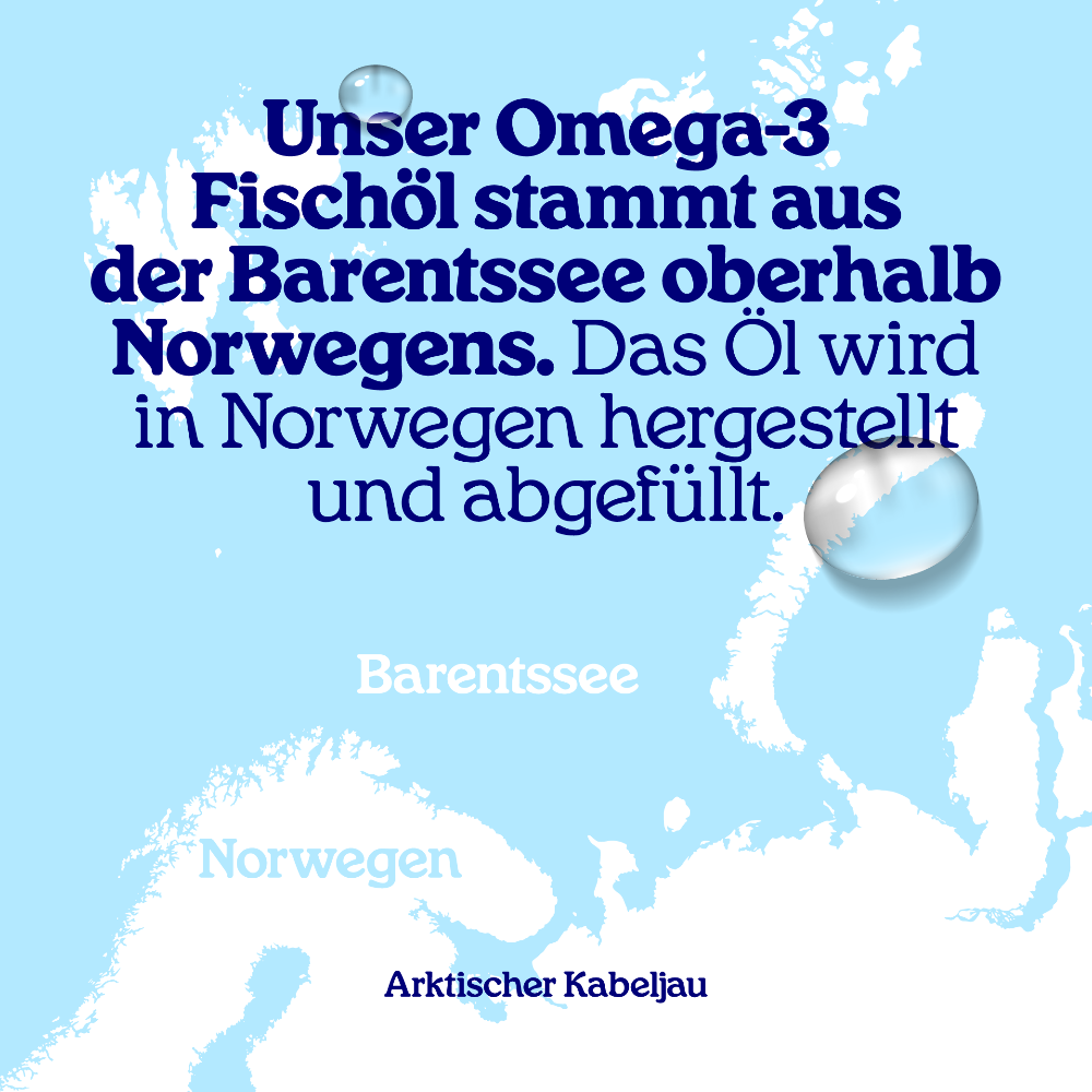 Arctic Blue | Omega 3 DHA- und EPA-Fischöl mit Vitamin D3 (Orangengeschmack) - MSC - 250 ml