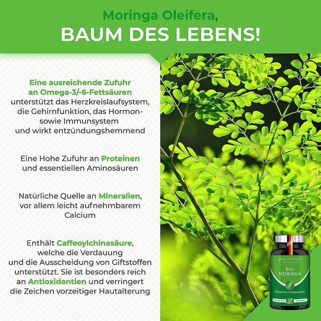 Nutrimea MORINGA Oleifera Kapseln · BIO Zertifiziert OHNE Zusätze SUPERFOOD 100% VEGAN – Bild 4