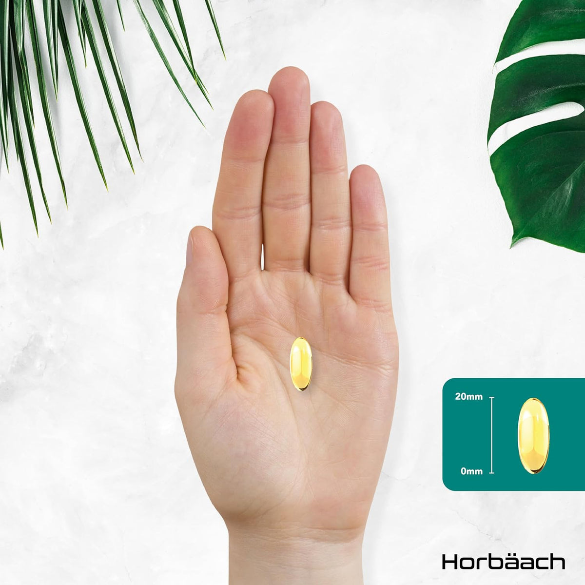 Horbaach Omega 3 Vegan 1500mg aus Algenöl · 60 Kapseln mit Hochdosiert ALA und DHA pro Portion – Bild 5