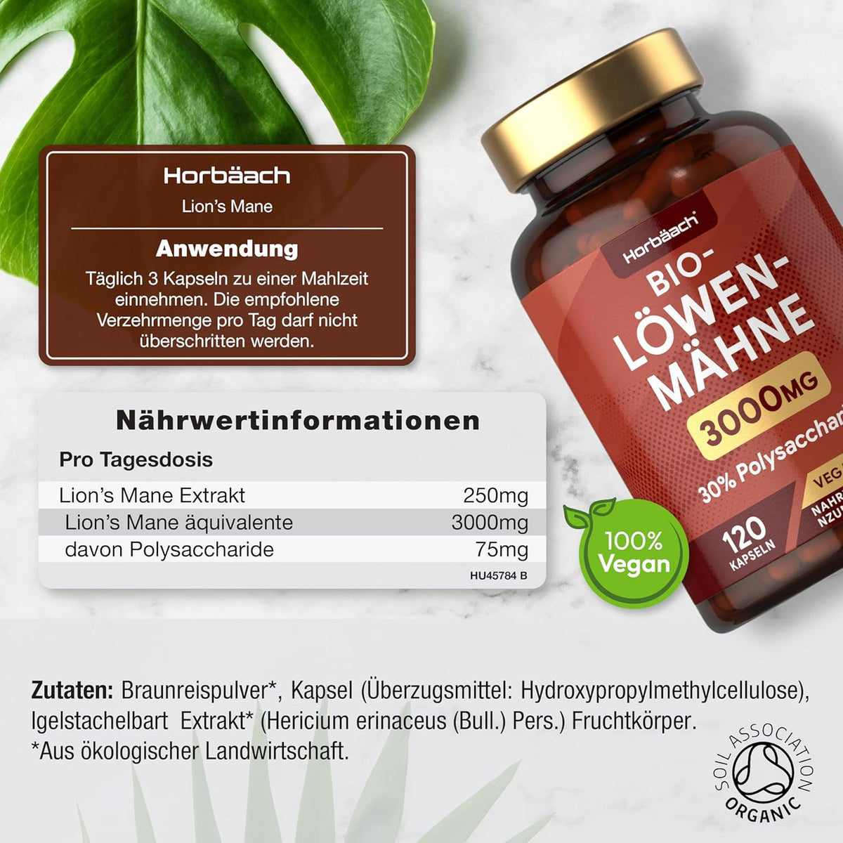 Horbaach Lions Mane 3000mg · 120 Kapseln – Bild 3