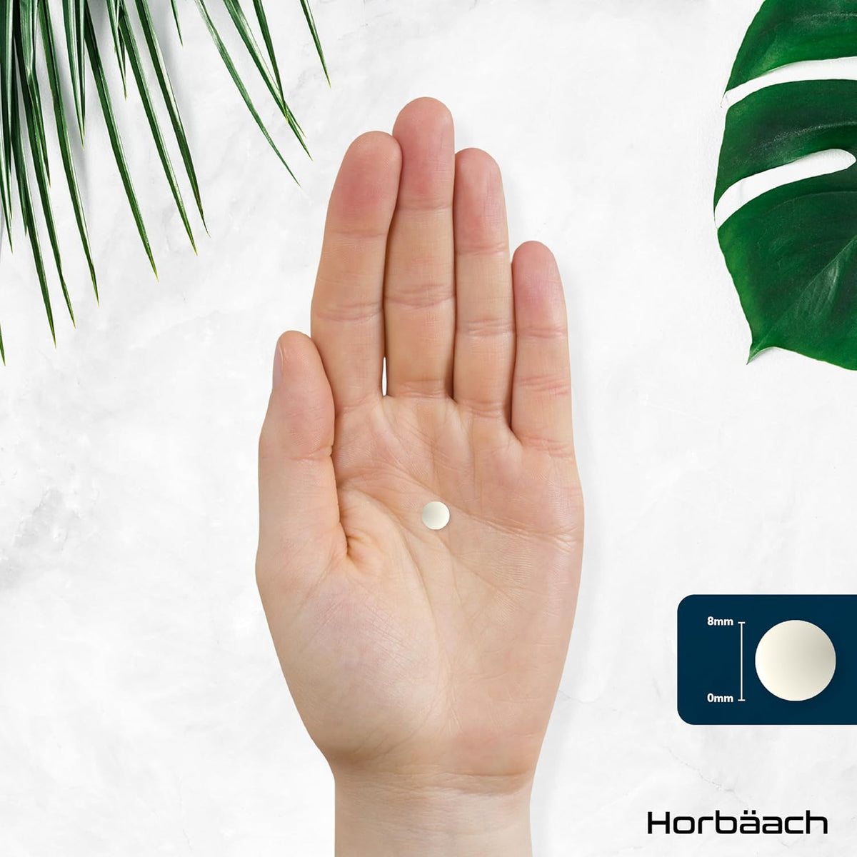 Horbäach Boron 5mg · Hochdosiert · 1 Jahr Vorrat · 365 Vegane Tabletten – Bild 6