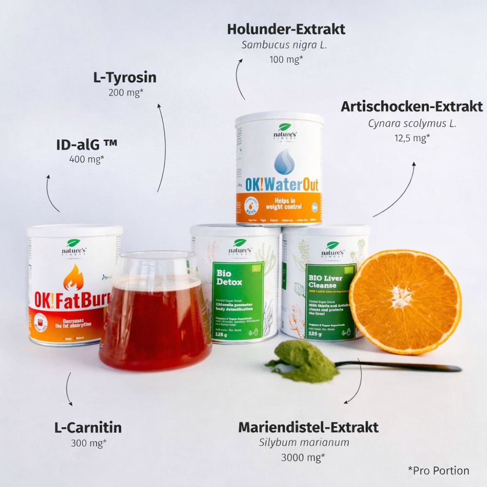 Nature's Finest Belly Burner 4 in 1 Paket · Netto 550 g für 55 tage – Bild 3