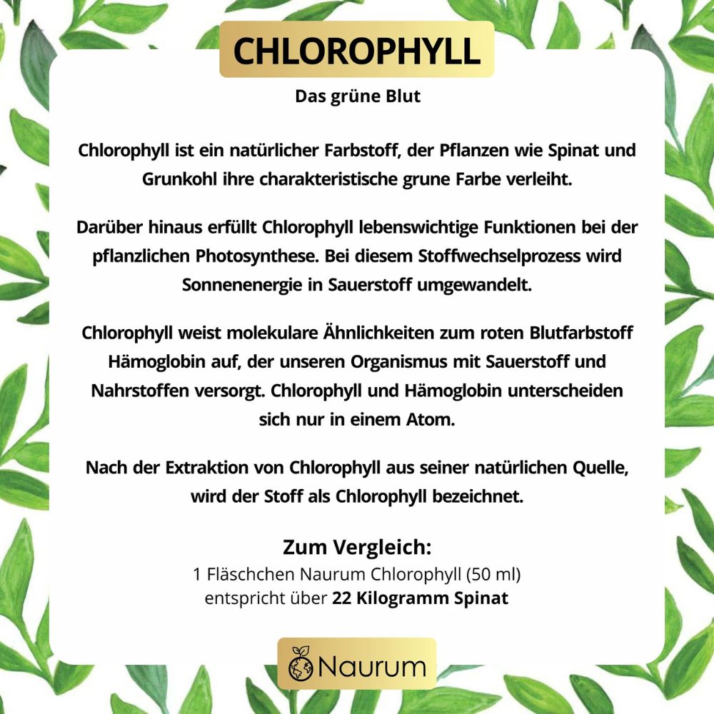 Naurum Chlorophyll Liquid Tropfen · Natürliches Chlorophyll aus Alfalfa · 50 ml – Bild 3
