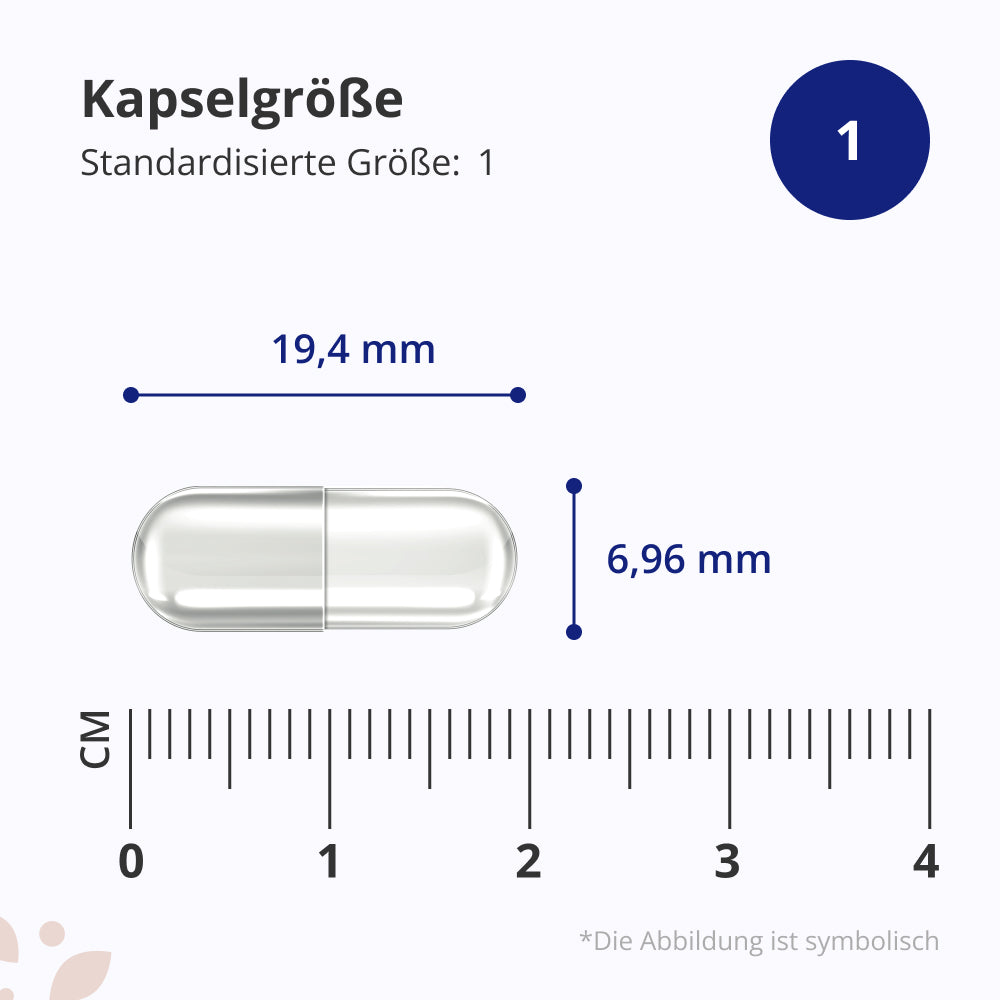 HealthyWorld Zimt mit Chrom und Zink zur Regulierung des Blutzuckerspiegels · 240 Kapseln – Bild 6