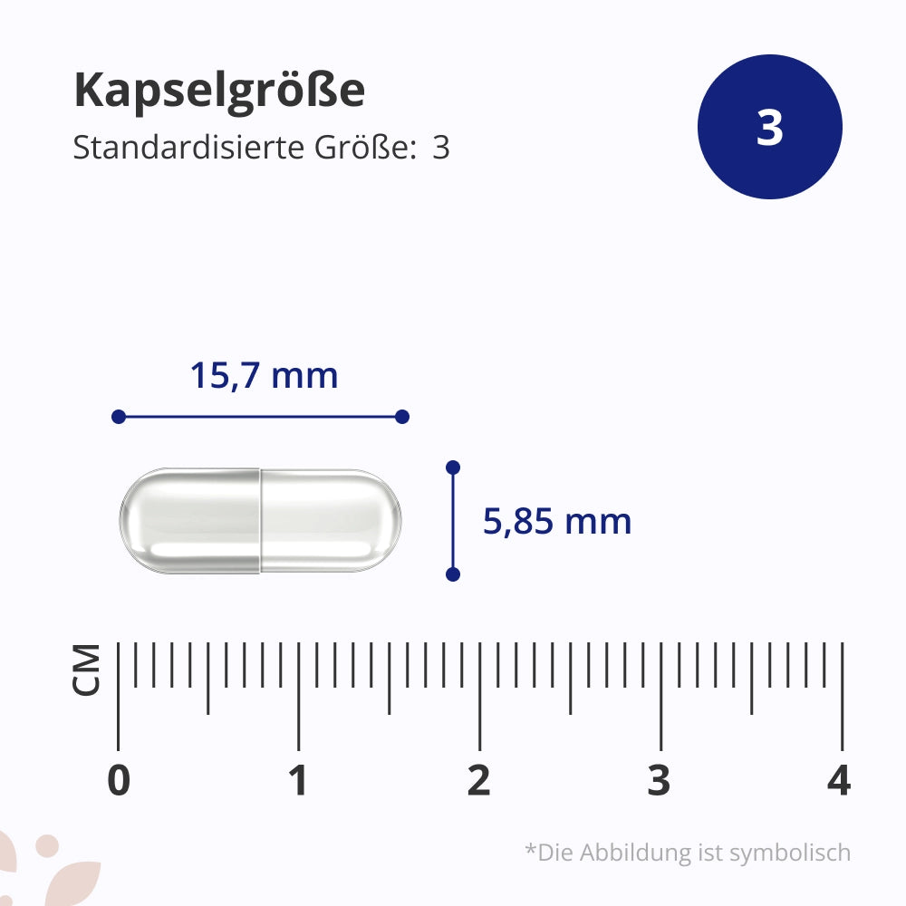 HealthyWorld Huperzin A 200 µg · 90 Kapseln – Bild 6