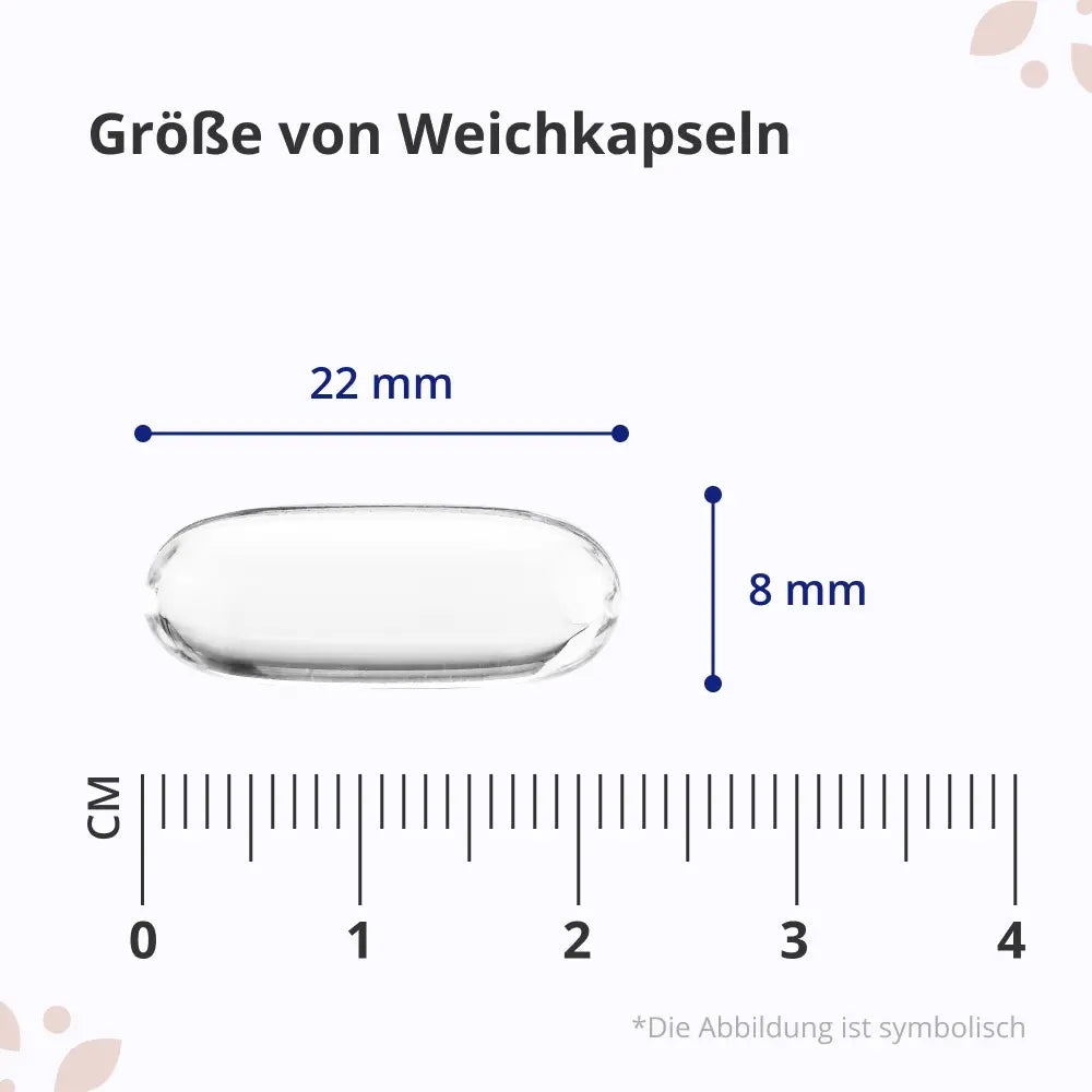 HealthyWorld Omega-7 All-in-One · 120 Weichkapseln – Bild 6