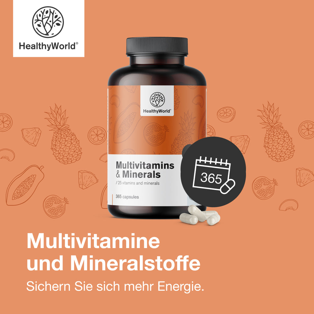 HealthyWorld Multivitamine & Mineralien · 25 Vitamine & Mineralstoffe für Energie, Immunsystem & Vitalität · 365 Kapseln – Bi