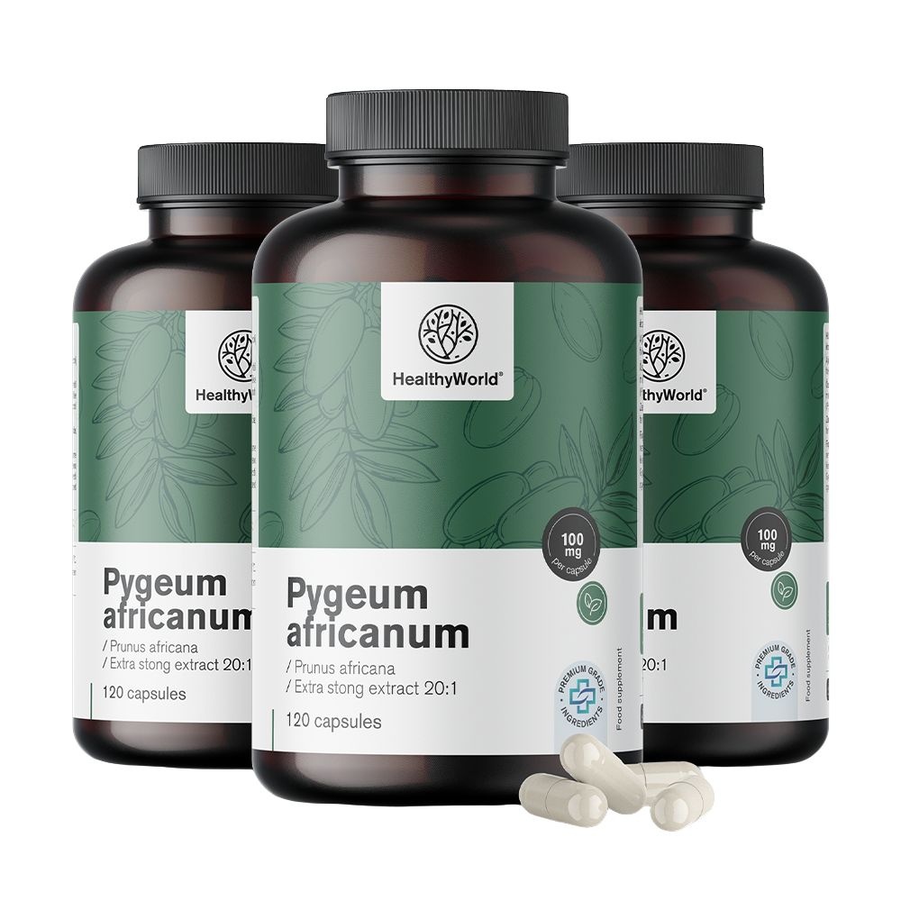 HealthyWorld | Pygeum – Extrakt aus afrikanischem Pflaumenbaum - 120 Kapseln