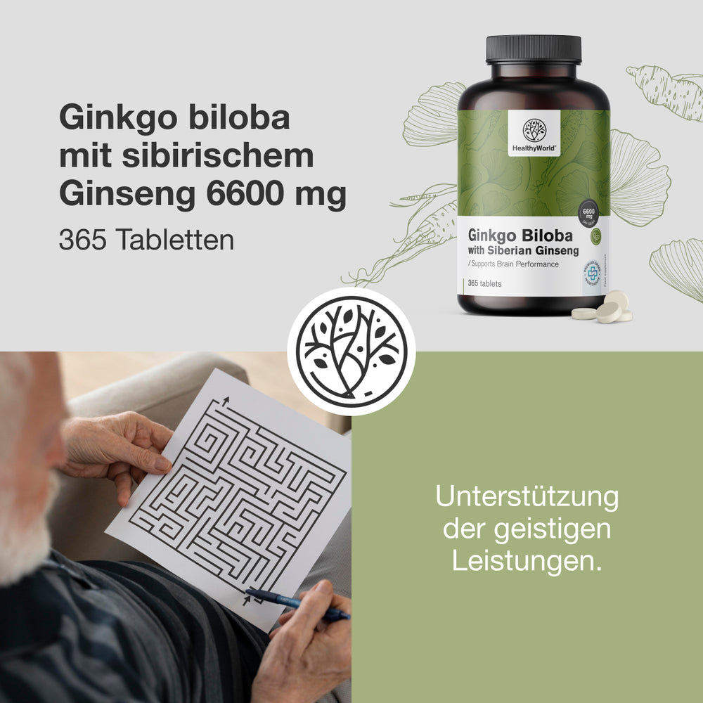 HealthyWorld Ginkgo mit Sibirischem Ginseng 6600 mg · 365 Tabletten – Bild 4