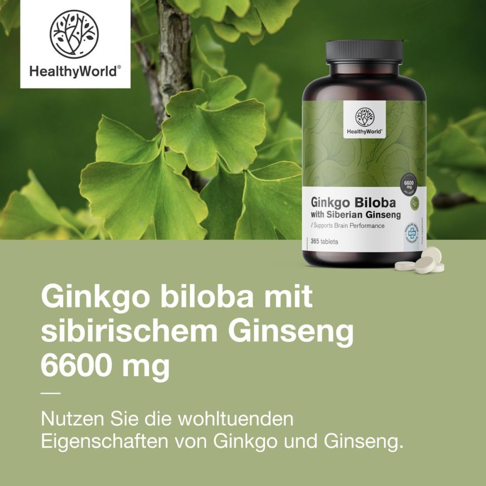 HealthyWorld | Ginkgo mit Sibirischem Ginseng 6600 mg - 365 Tabletten