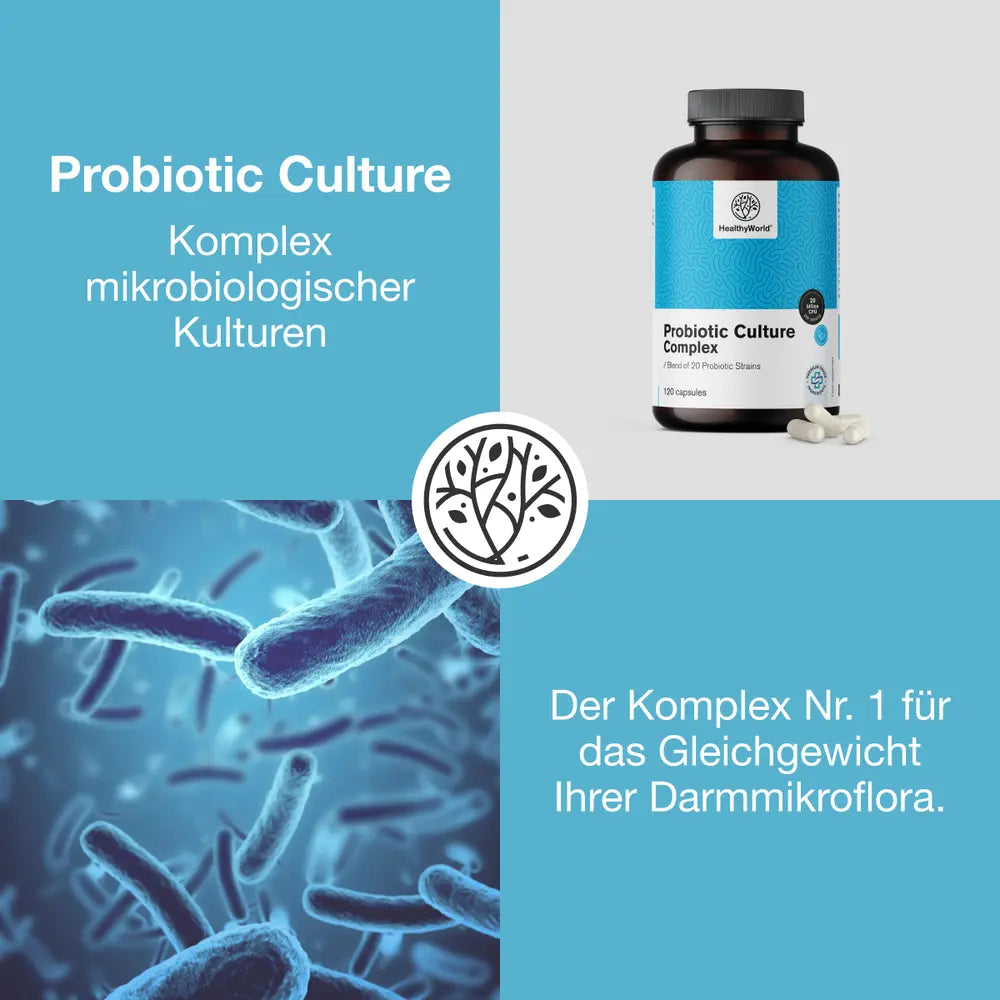 HealthyWorld Probiotic Culture · Komplex mikrobiologischer Kulturen · 120 Kapseln – Bild 3