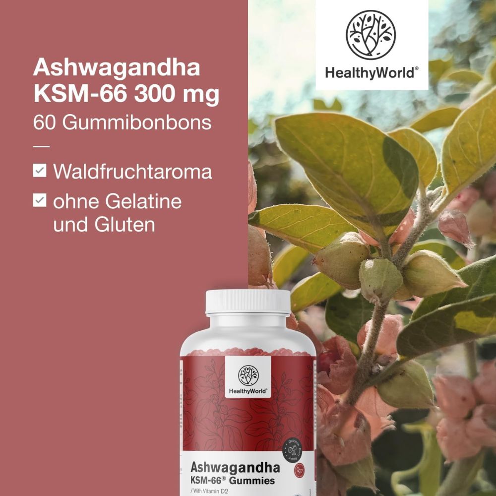 HealthyWorld Ashwagandha KSM-66 300 mg · 60 Gummibonbons – Bild 4