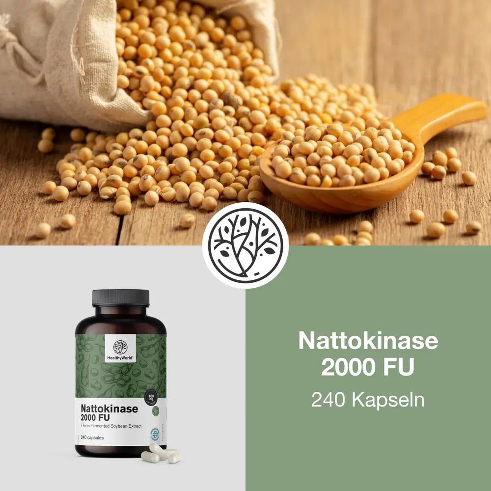 HealthyWorld Nattokinase 2000 FU für das Blut- und das Herz-Kreislauf-System · 240 Kapseln – Bild 2