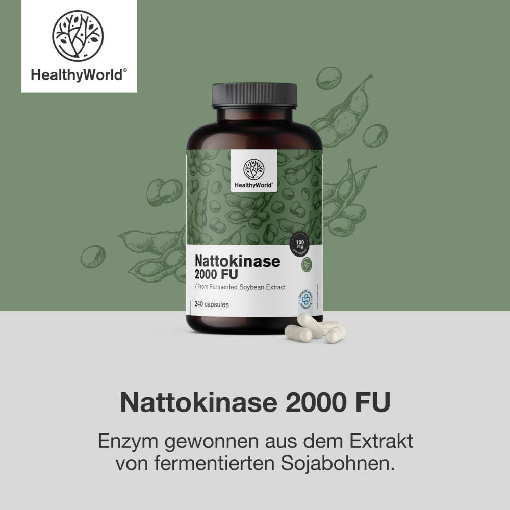 HealthyWorld | Nattokinase 2000 FU für das Blut- und das Herz-Kreislauf-System - 240 Kapseln