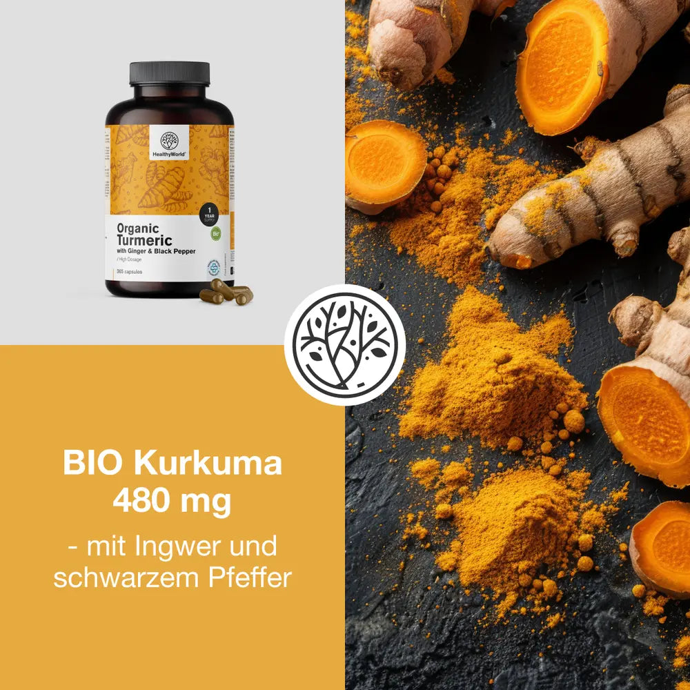 HealthyWorld BIO Kurkuma 480 mg mit Ingwer und schwarzem Pfeffer · 365 Kapseln – Bild 2