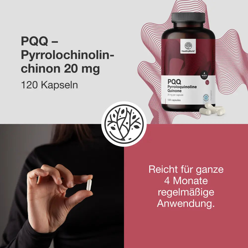 HealthyWorld PQQ · Pyrrolochinolinchinon 20 mg · 120 Kapseln – Bild 4
