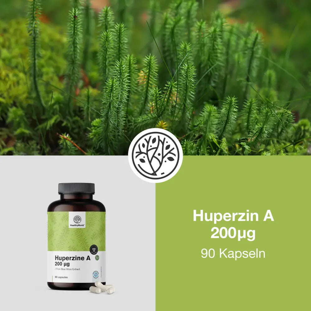 HealthyWorld Huperzin A 200 µg · 90 Kapseln – Bild 4