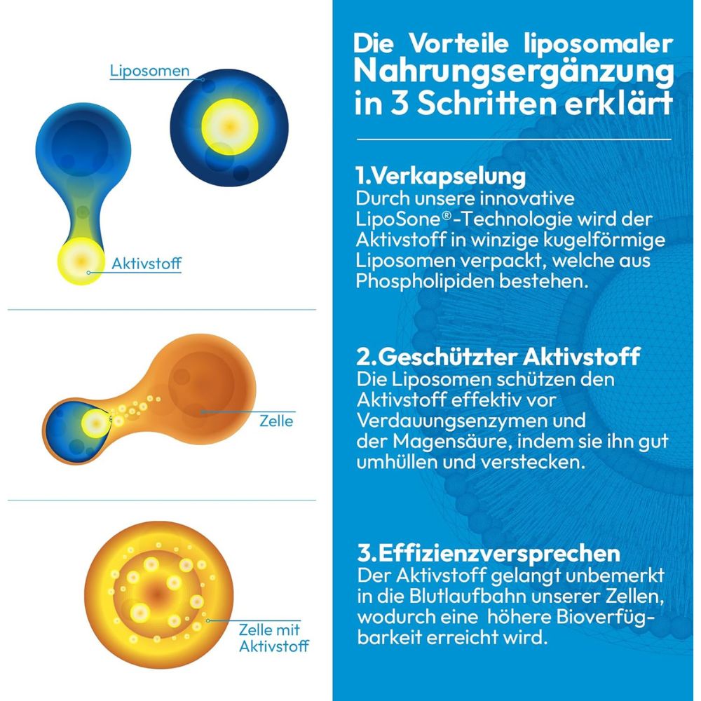 ActiNovo Magnesium Liposomal mit Zitrone-, Basilikum-, Holundergeschmack · 250ml – Bild 4