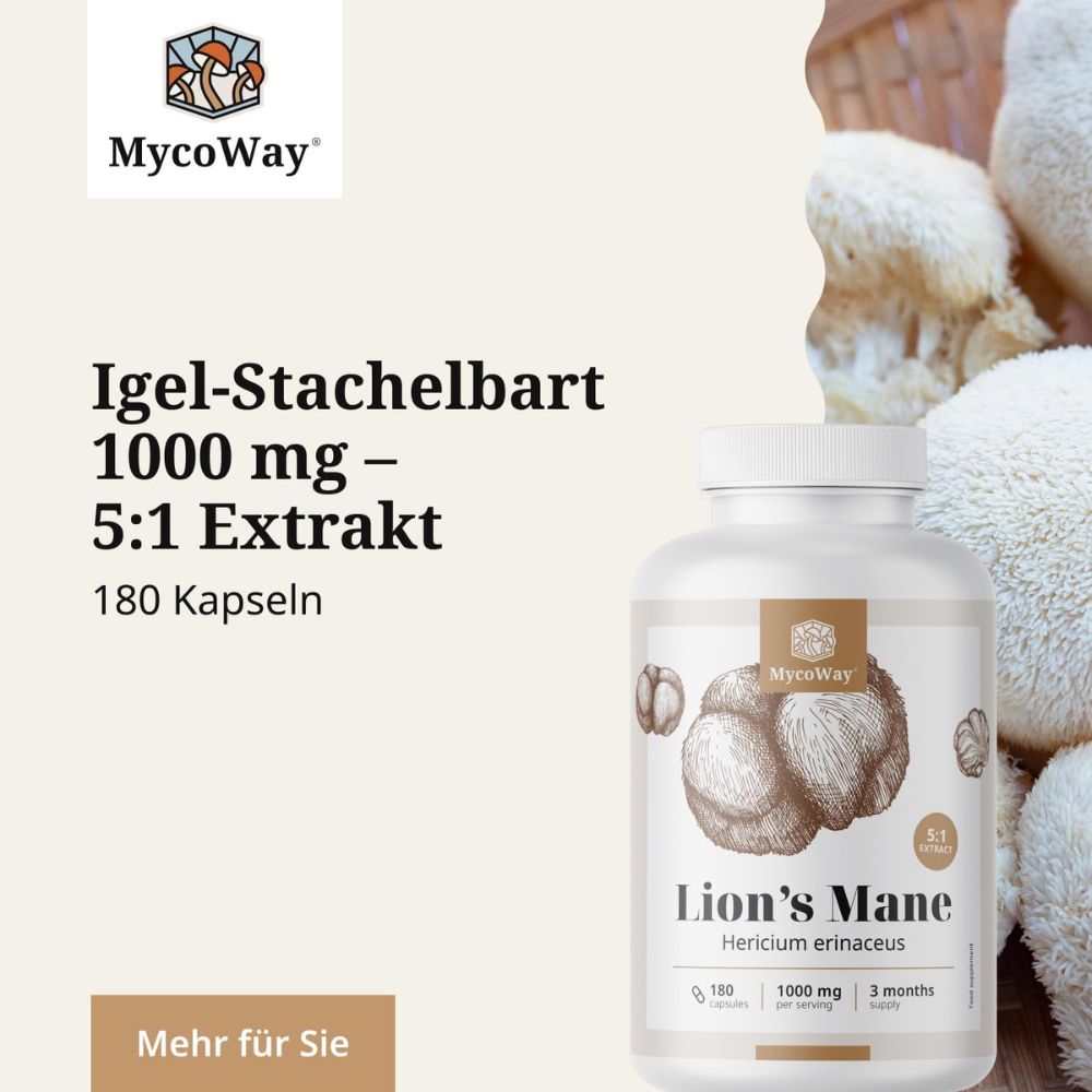 MycoWay Lion's Mane 1000 mg · Extrakt 5:1 · 180 Kapseln – Bild 4