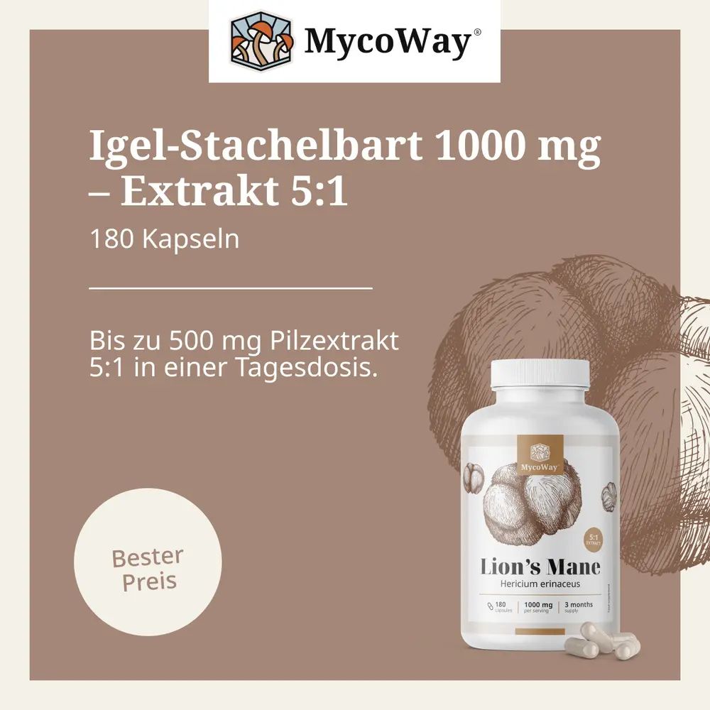 MycoWay Lion's Mane 1000 mg · Extrakt 5:1 · 180 Kapseln – Bild 6