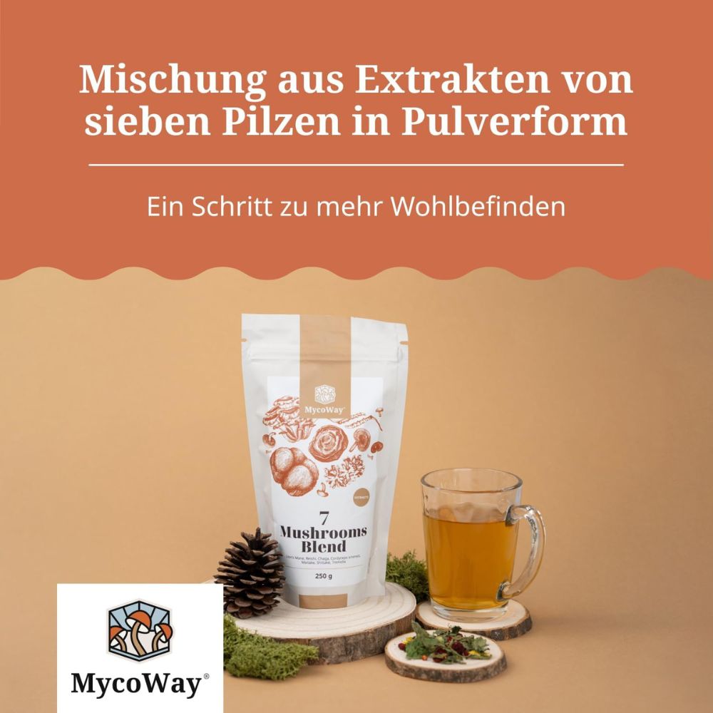 MycoWay Mischung aus sieben Pilzextrakten · 250g Pulver – Bild 4