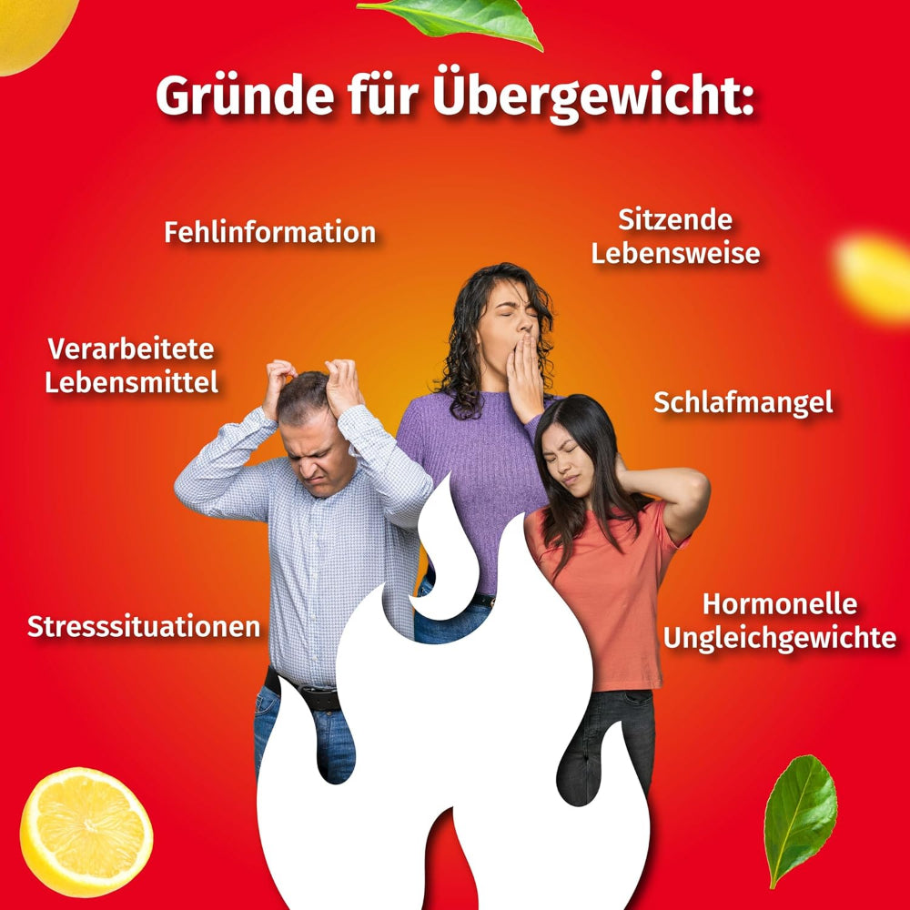 Nature's Finest OK!FatBurn · Fettverbrenner – Bild 3