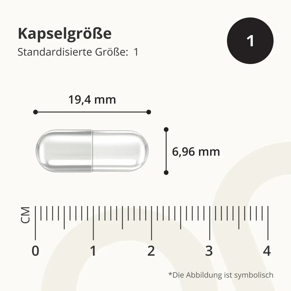 OnEnergy Brahmi 1200 mg · Lernen, Konzentration und Denkfähigkeit · 90 Kapseln – Bild 6