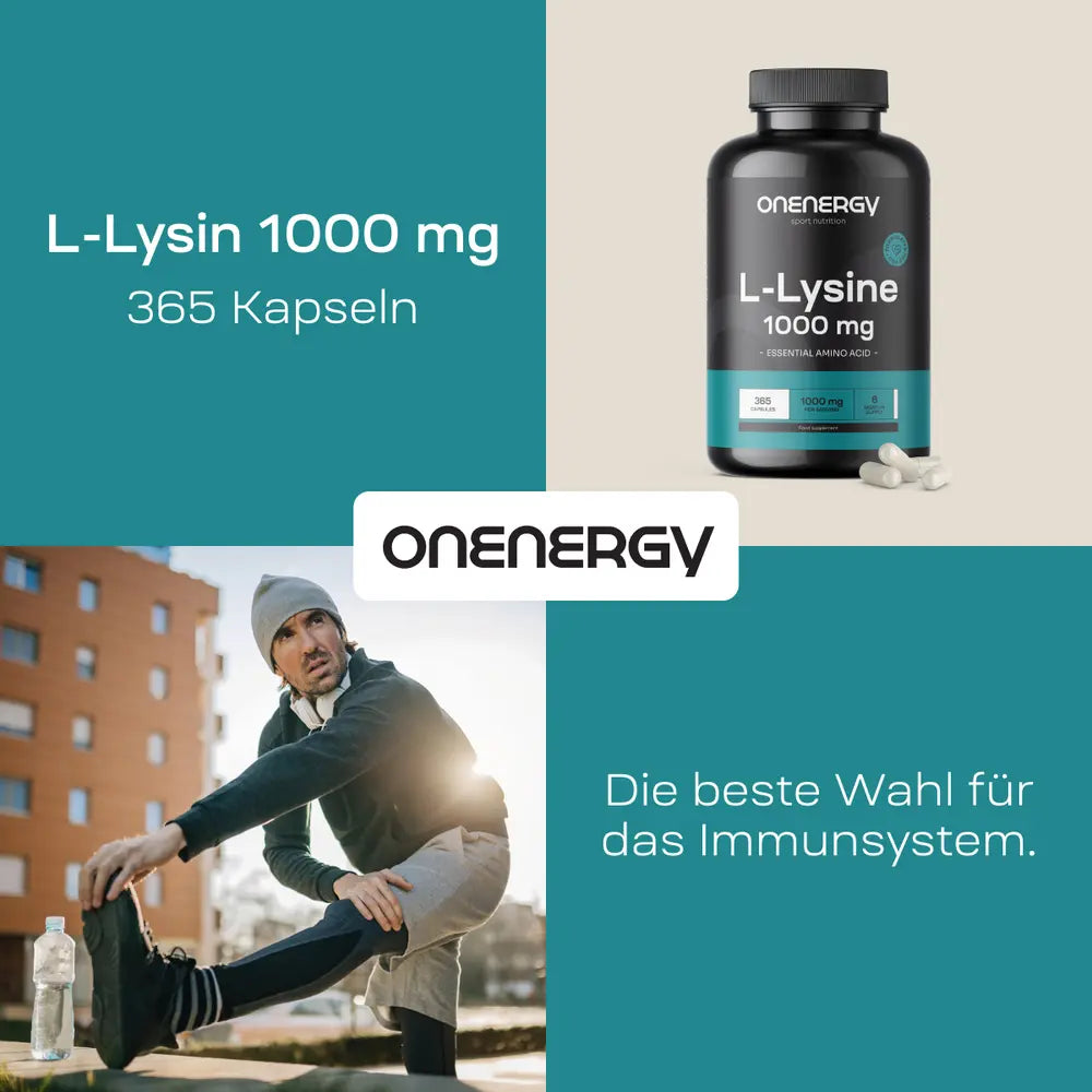 OnEnergy L-Lysin 1000 mg · eine essentielle Aminosäure · 365 Kapseln – Bild 3
