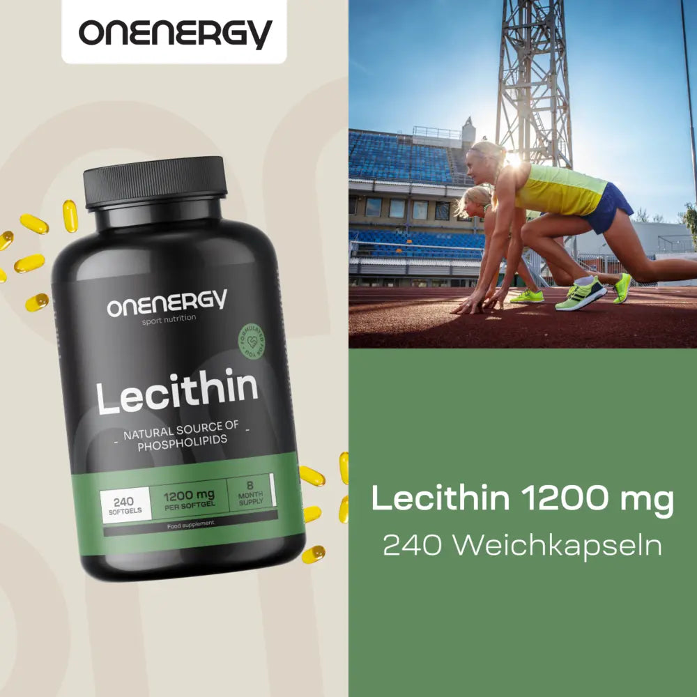 OnEnergy | Lecithin 1200 mg zur Unterstützung des Fettstoffwechsels – 240 Weichkapseln