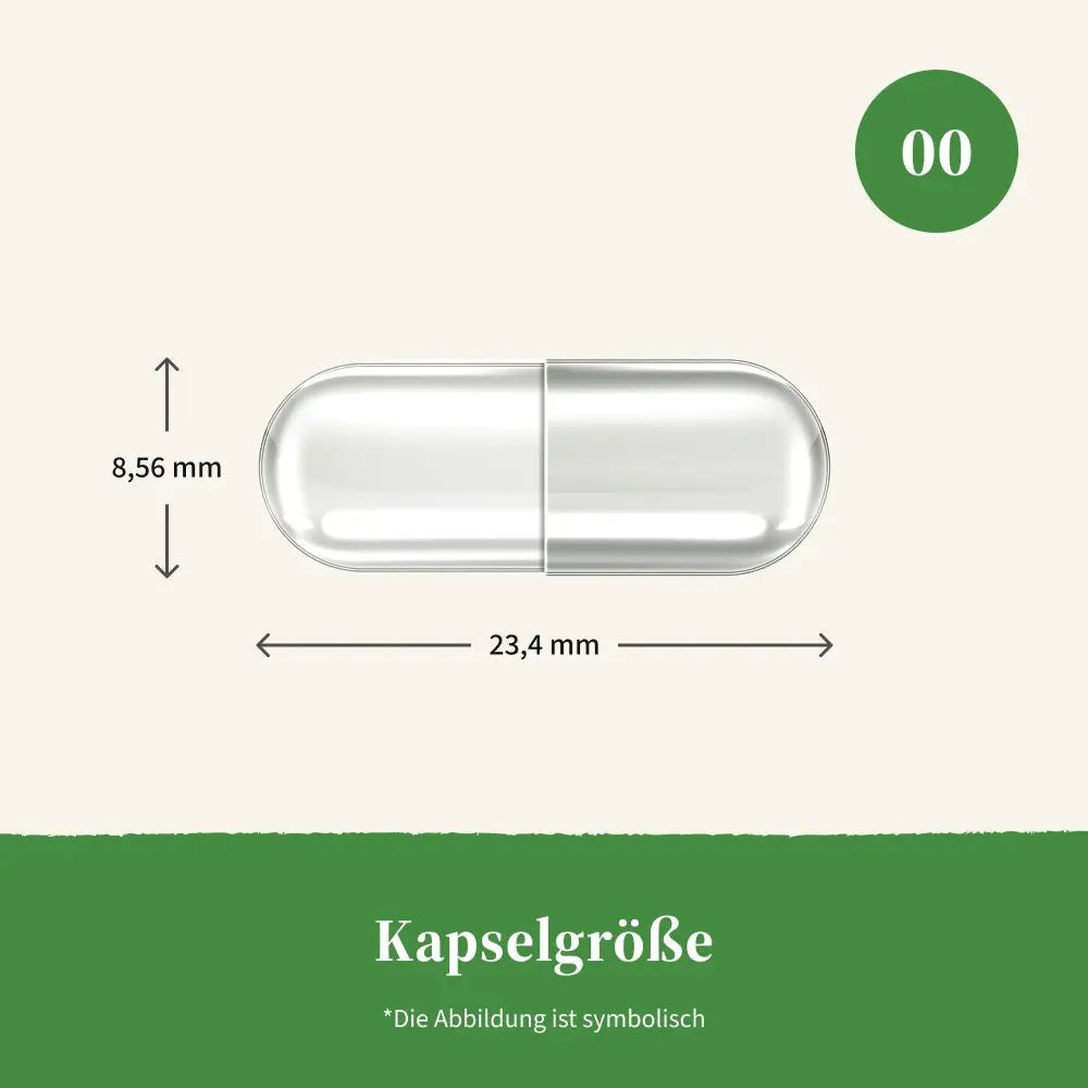 Symbolische Darstellung der Kapselgröße 00: 23,4 mm lang und 8,56 mm breit.