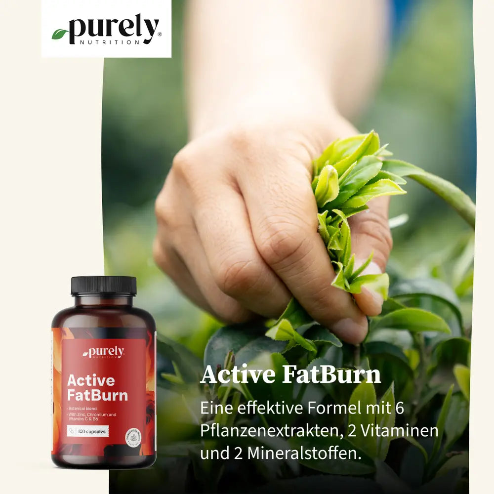 Purely Active FatBurn für Gewichtskontrolle · 120 Kapseln – Bild 5