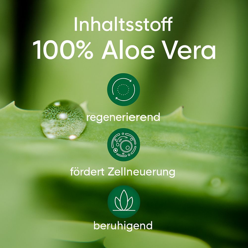 APRICOT Dekolleté Pad mit Aloe vera · 30 Behandlungen – Bild 6