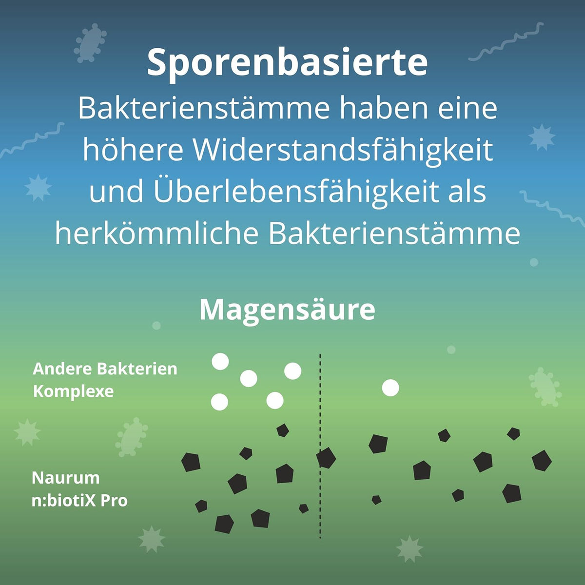 Naurum n:biotiX Pro · Sporenbasierte Bakterienkulturen mit Ballaststoffen und Zink · 60 Kapseln – Bild 3