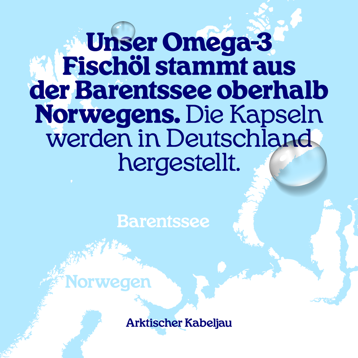 Arctic Blue | Omega 3 - Fischölkapseln für Hunde, Katzen & Pferde - MSC (90 kleine Kapseln) – Bild 6