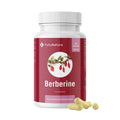 FutuNatura | Berberin 500 mg für Blutzuckerkontrolle - 90 Kapseln