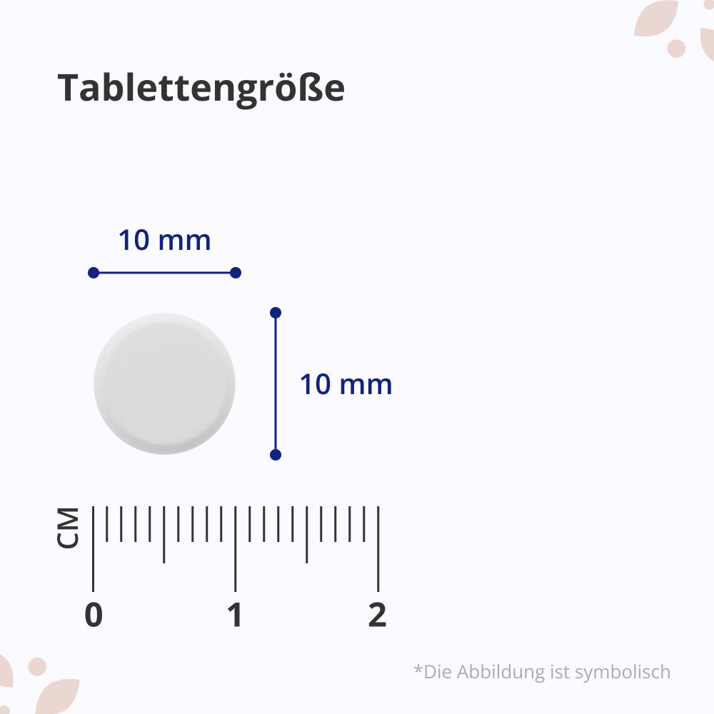 HealthyWorld | Ginkgo mit Sibirischem Ginseng 6600 mg - 365 Tabletten
