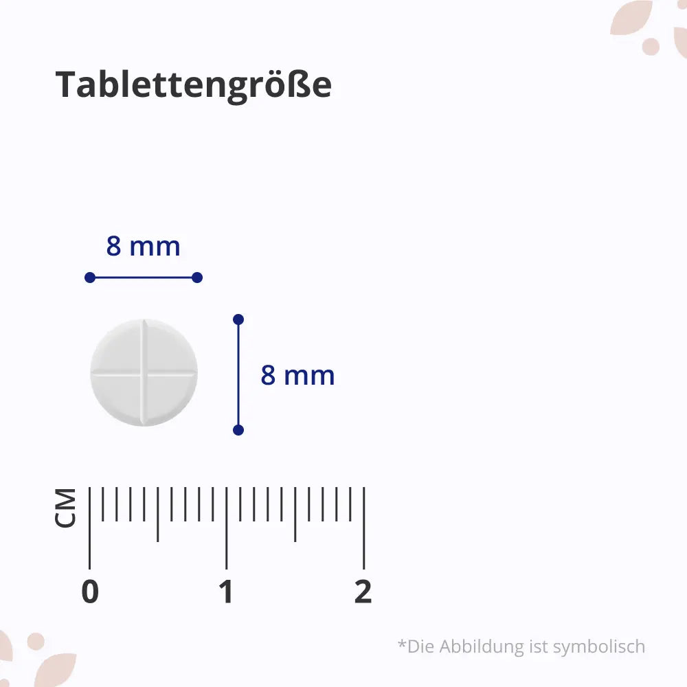 HealthyWorld Aktive Folsäure L-5-MTHF Schwangerschaftsvitamin · 365 Tabletten – Bild 6