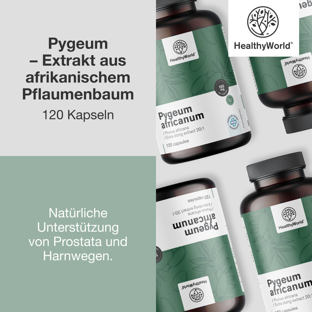 HealthyWorld Pygeum · Extrakt aus afrikanischem Pflaumenbaum · 120 Kapseln – Bild 4