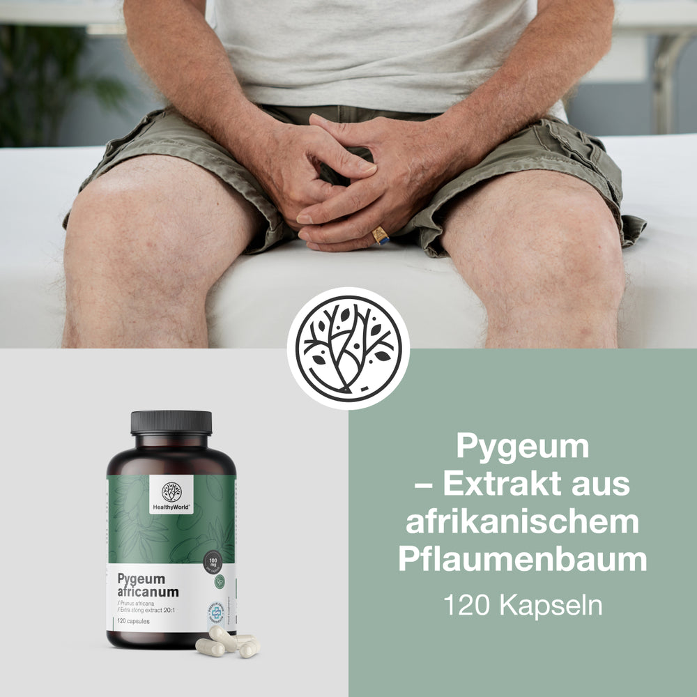 HealthyWorld Pygeum · Extrakt aus afrikanischem Pflaumenbaum · 120 Kapseln – Bild 3