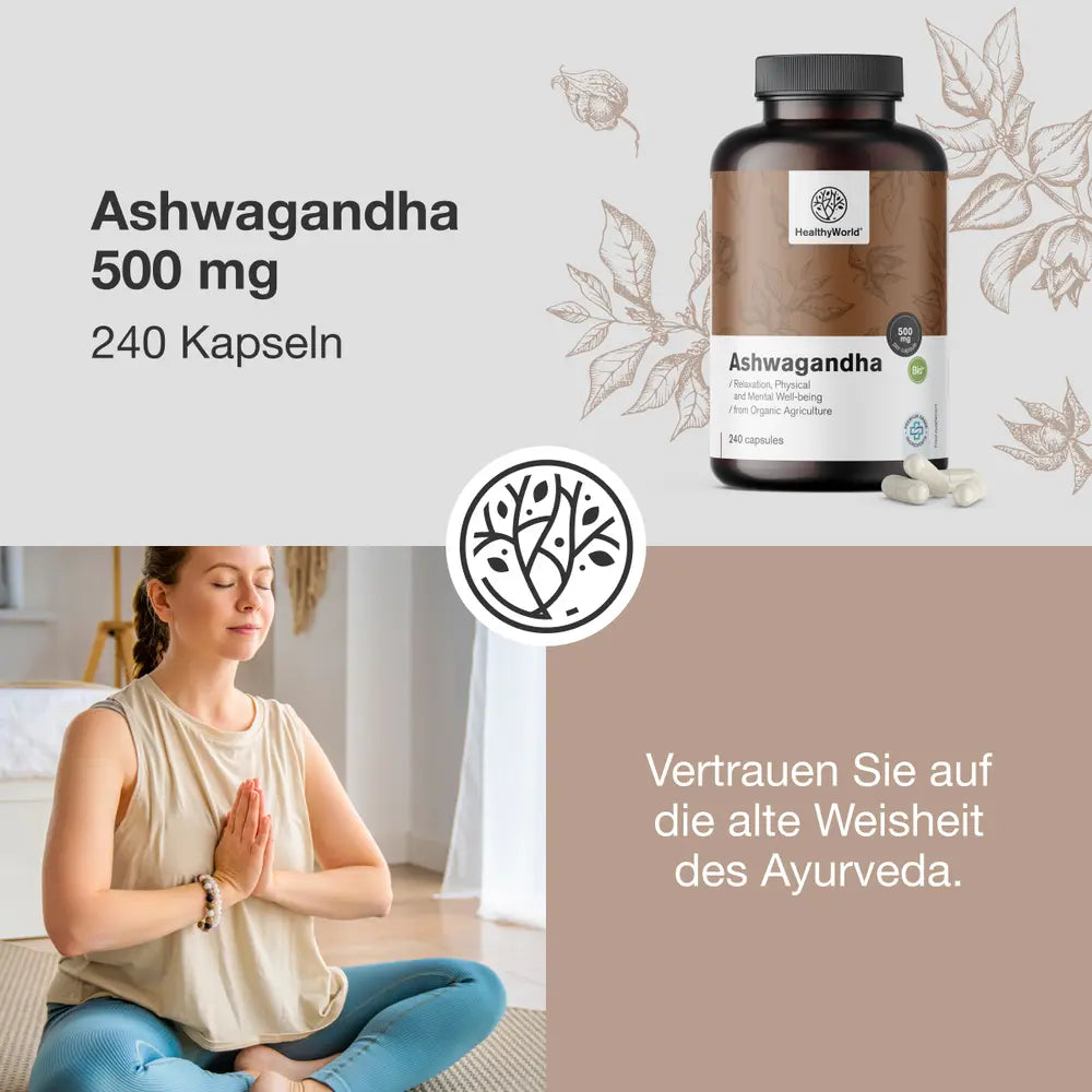 HealthyWorld Ashwagandha 500 mg · 240 Kapseln – Bild 2