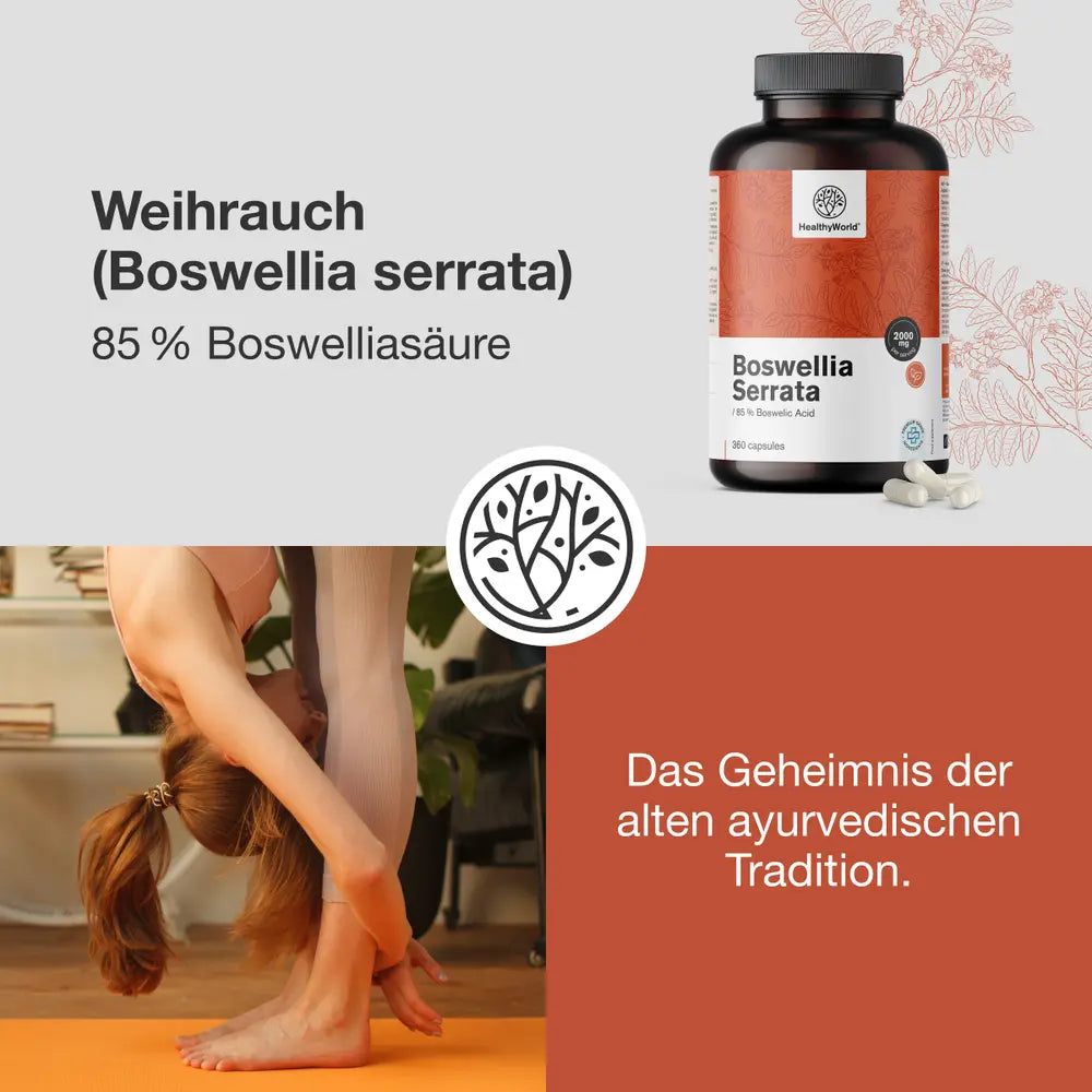 HealthyWorld Weihrauch (Boswellia serrata) · 85 % Boswelliasäure · 360 Kapseln – Bild 2