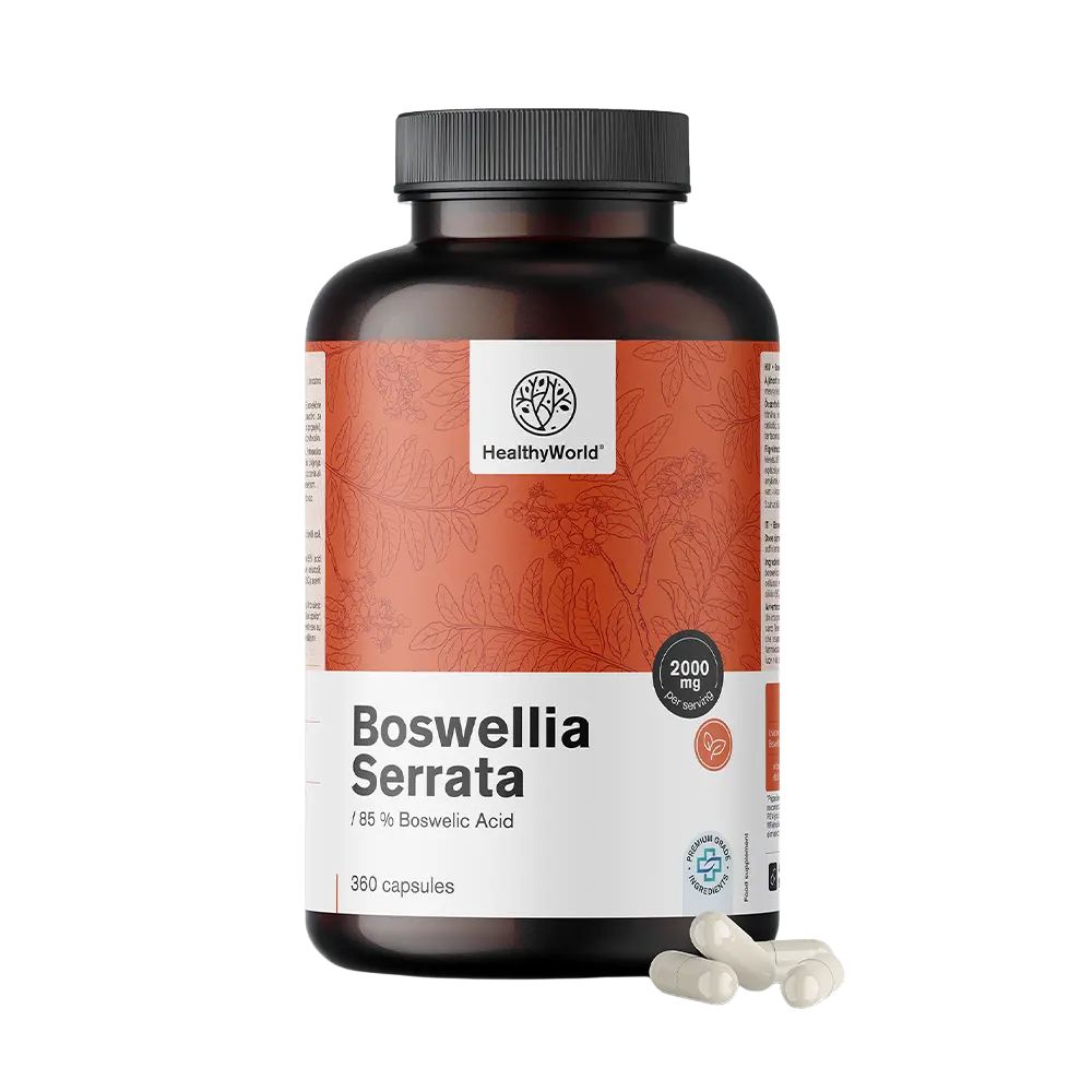 HealthyWorld Weihrauch (Boswellia serrata) · 85 % Boswelliasäure · 360 Kapseln