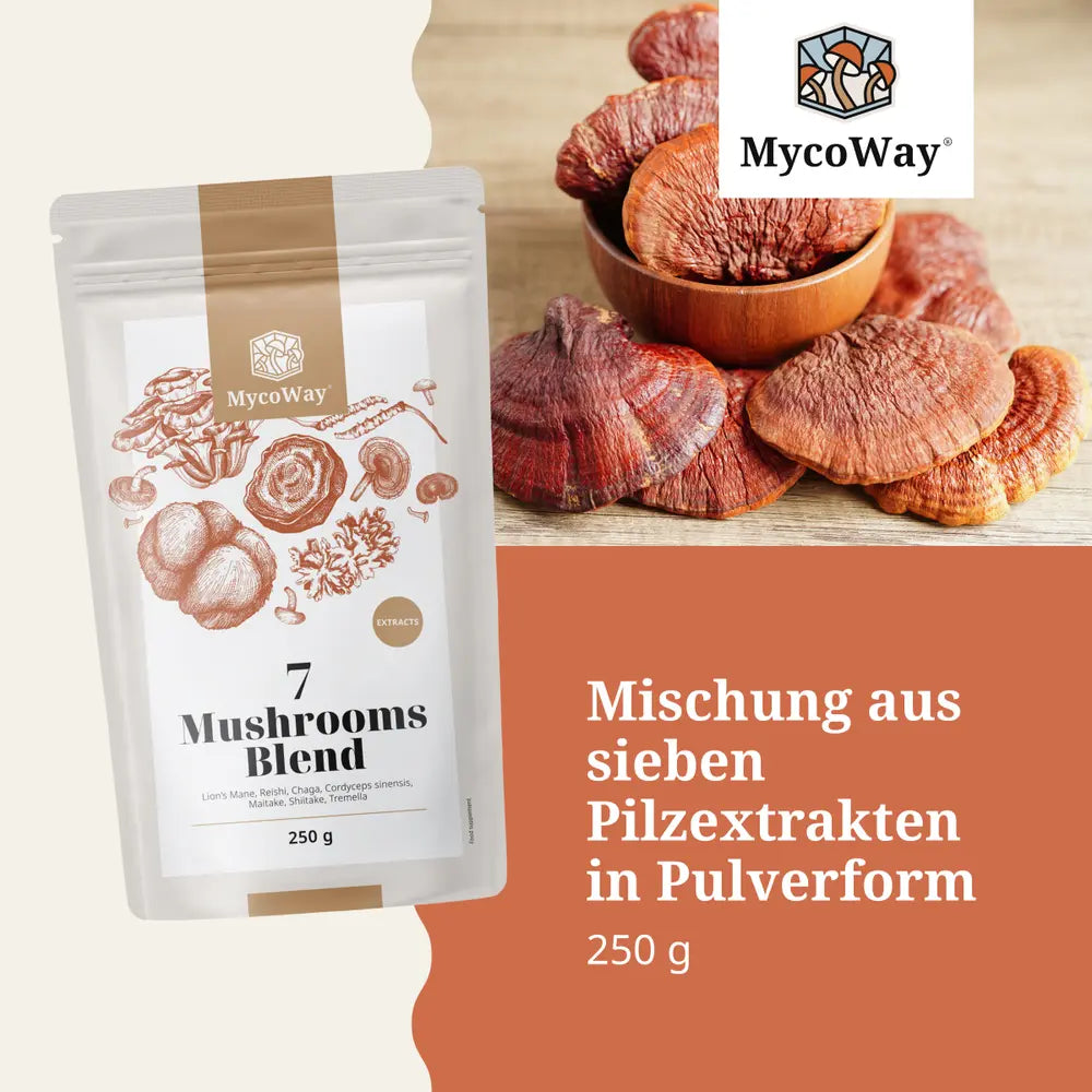 MycoWay Mischung aus sieben Pilzextrakten · 250g Pulver – Bild 2