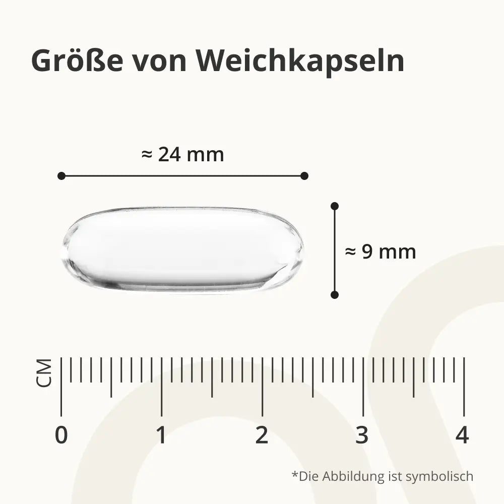OnEnergy | Lecithin 1200 mg zur Unterstützung des Fettstoffwechsels – 240 Weichkapseln