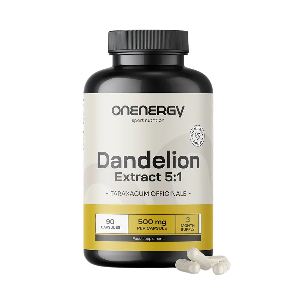 OnEnergy Löwenzahn · Extrakt 5:1 · 90 Kapseln
