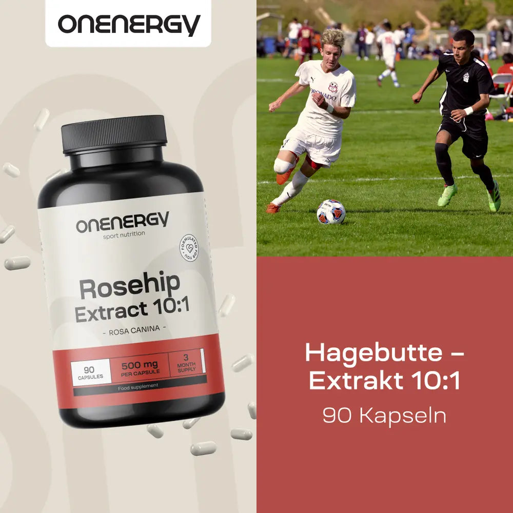 OnEnergy Hagebutte · Extrakt 10:1 · 90 Kapseln – Bild 4