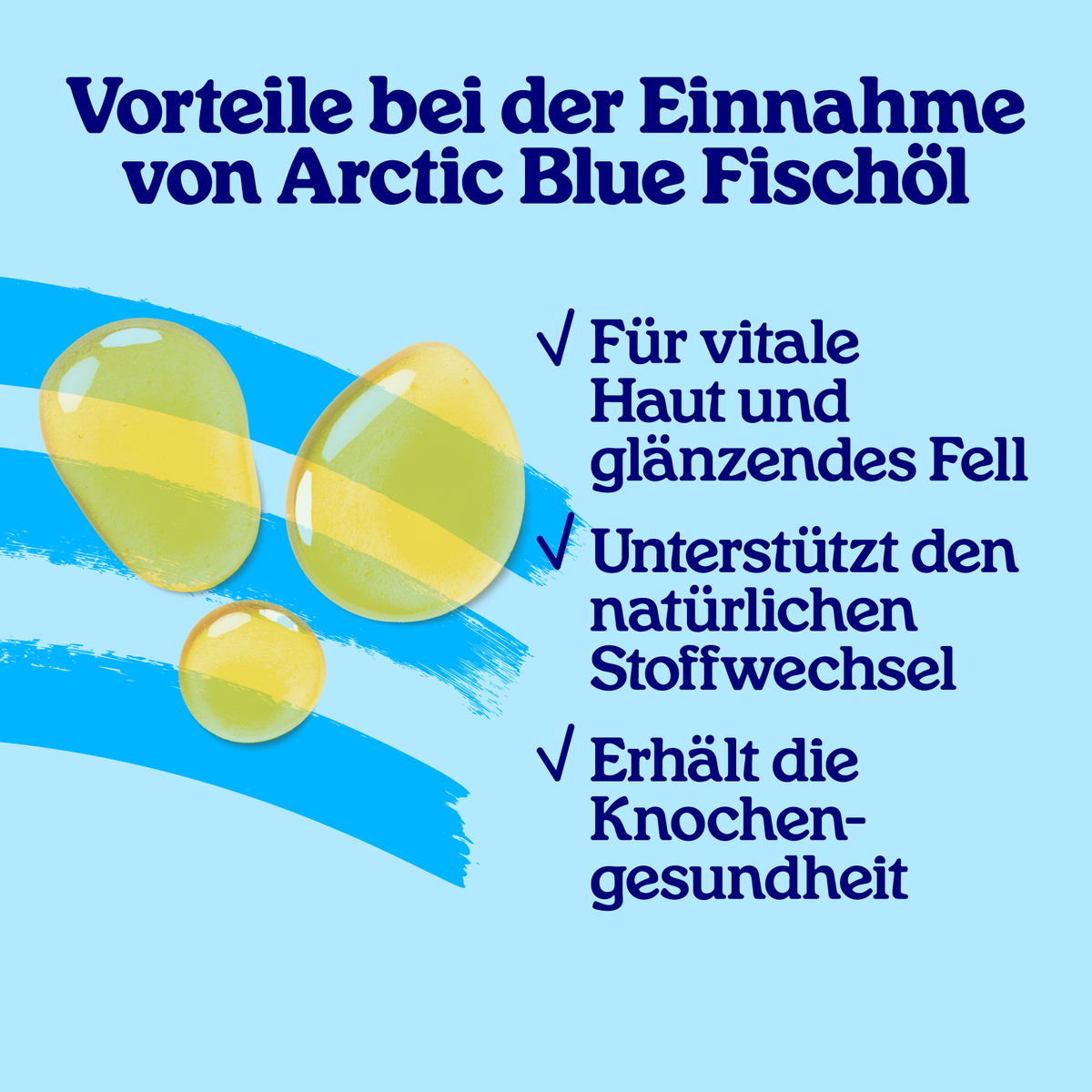 Arctic Blue | Omega 3 Fischöl für Hunde & Katzen – Bild 4