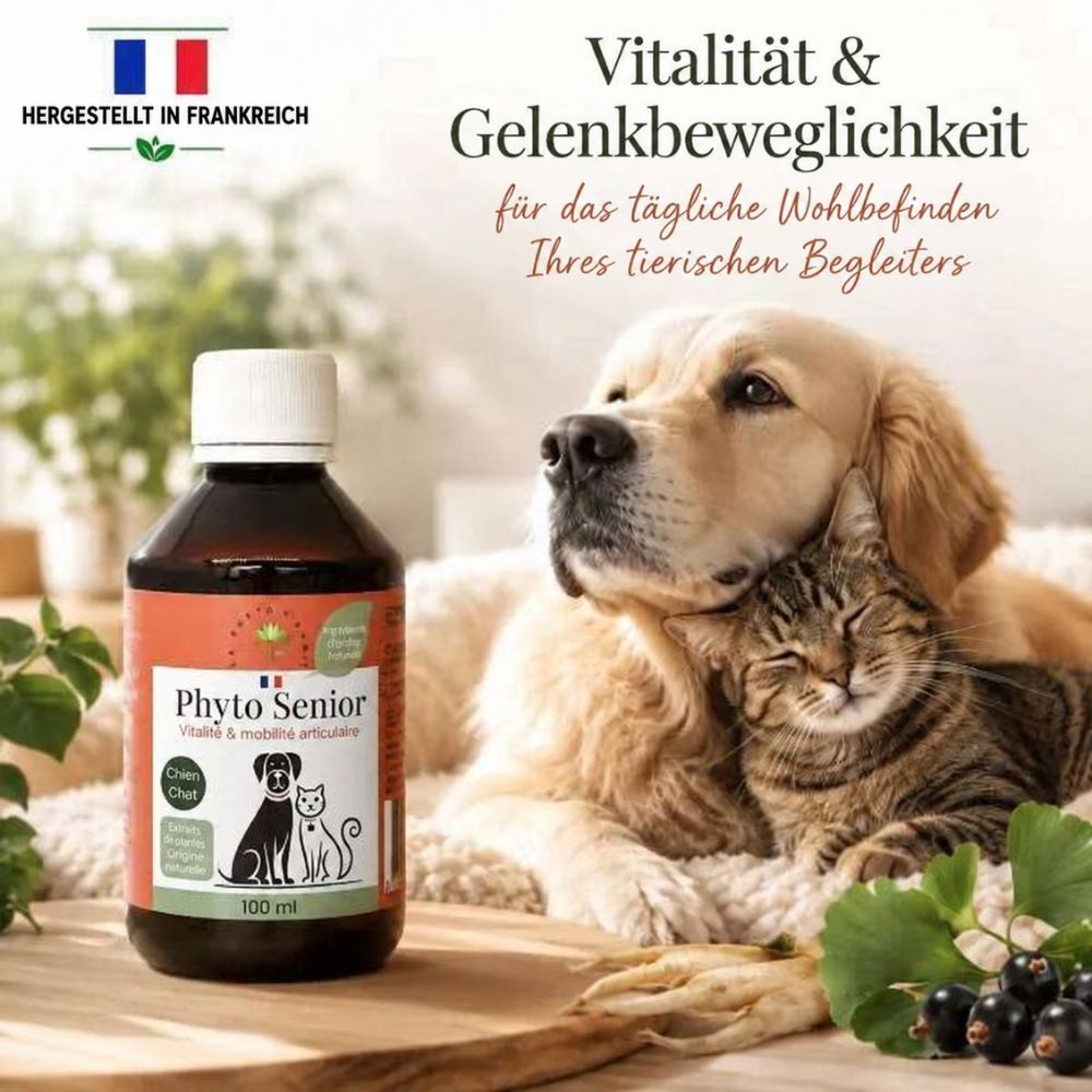 La Phyto d’Anaïs | Phyto Senior – Ergänzungsfuttermittel für ältere Hunde und Katzen - 250 ml